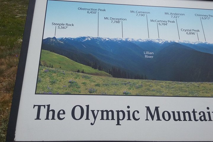 Hurricane Ridge Olympic National Park from Seattle - Image 4