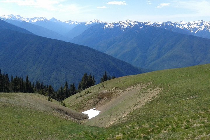 Hurricane Ridge Olympic National Park from Seattle - Image 2