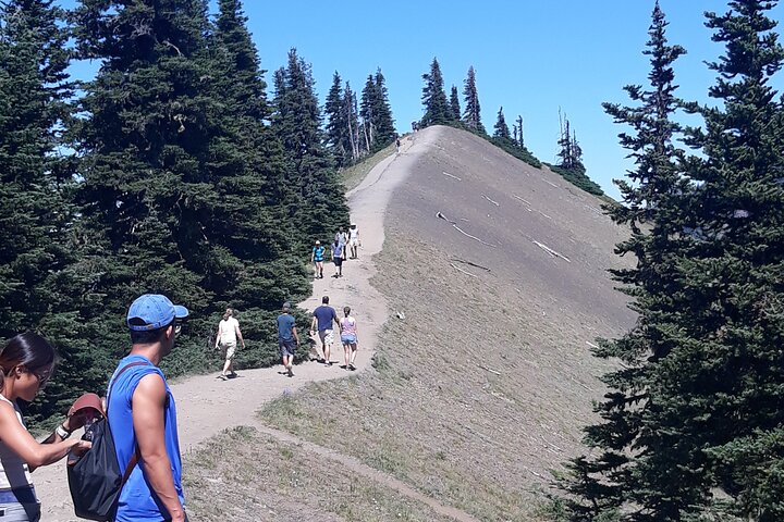 Hurricane Ridge Olympic National Park from Seattle - Image 1