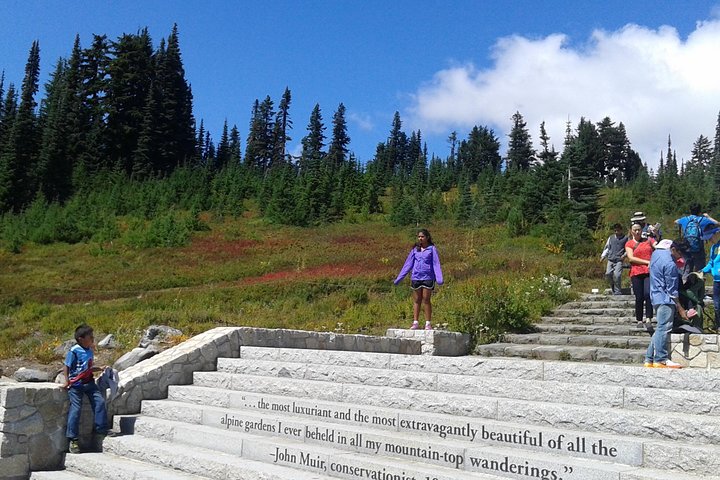 Mount Rainier Tour from Seattle - Image 3