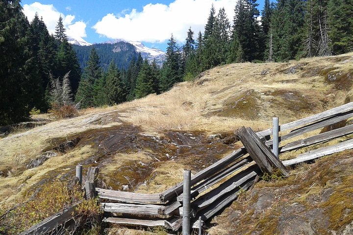 Mount Rainier Tour from Seattle - Image 5