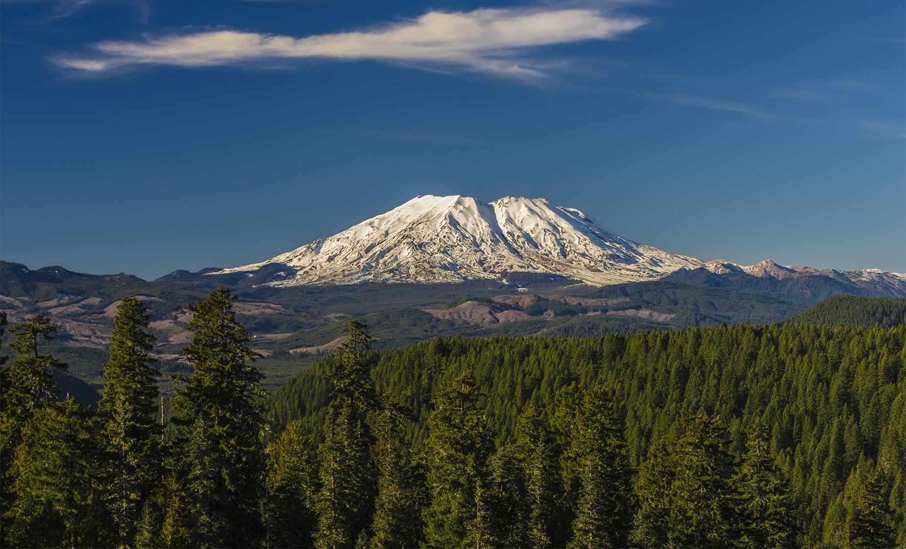 Mount St. Helens Full Day Small Group Tour from Seattle - Image 1