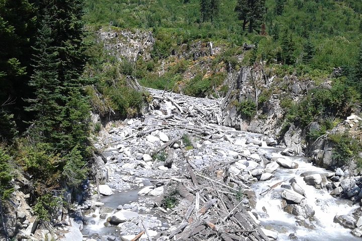 Mt Rainier Private Tour Experience in SUV - Image 4