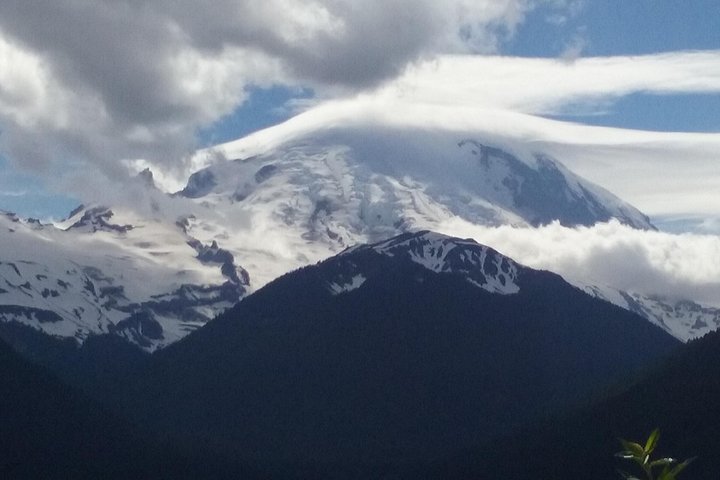 Mt Rainier Private Tour Experience in SUV - Image 3