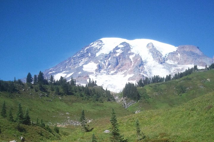 Mt Rainier Private Tour Experience in SUV - Image 1