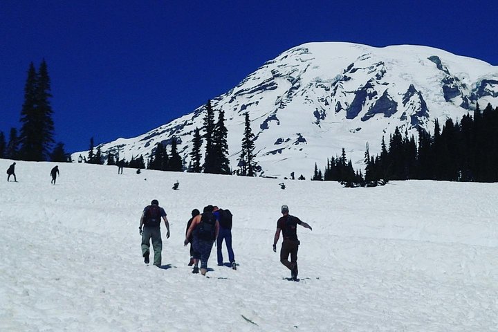 Mt Rainier Private Tour Experience in SUV - Image 5