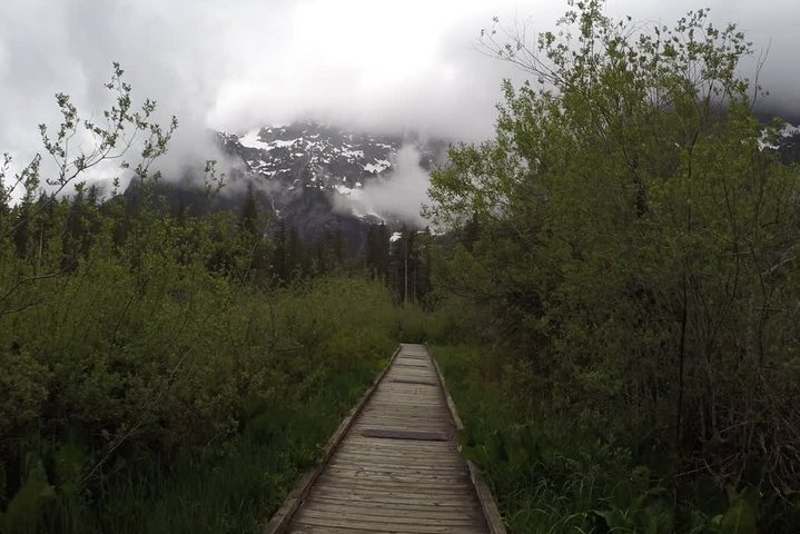 Nature Tour/Hike - Image 4