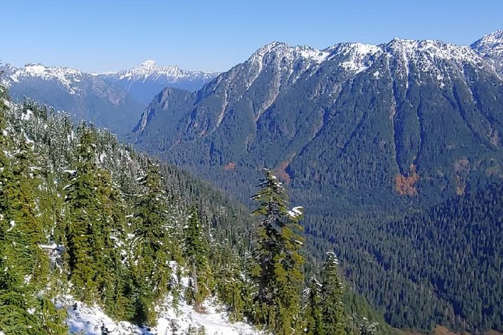 Nature Tour/Hike - Image 2