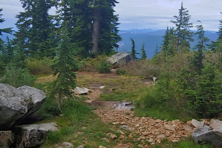 Nature Tour/Hike - Image 1