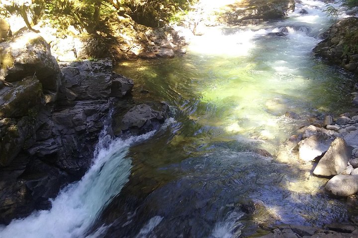 Private Cascade Mountains and Waterfalls Tour from Seattle - Image 5