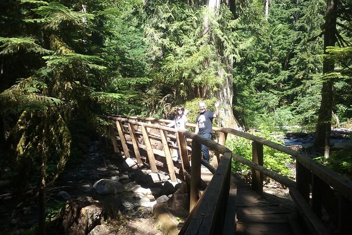 Private Cascade Mountains and Waterfalls Tour from Seattle - Image 4