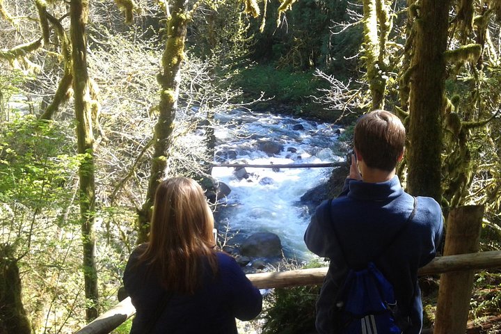 Private Cascade Mountains and Waterfalls Tour from Seattle - Image 3