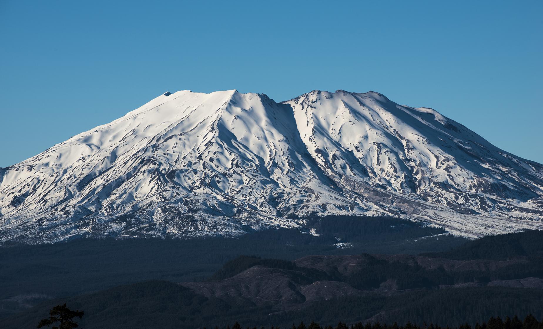 Private Mount Rainier National Park Tour - Image 1