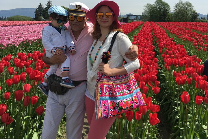 Tulip Festival in Skagit Valley Tour from Seattle  - Image 2