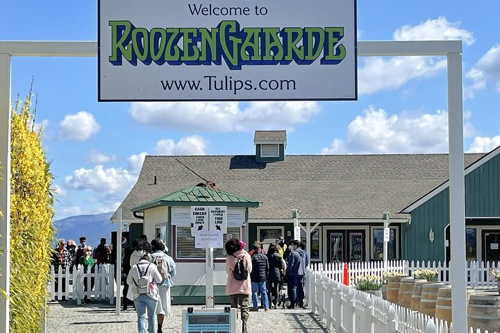 Tulip Festival in Skagit Valley Tour from Seattle  - Image 1