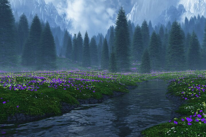 Twilight Forks Washington Tour - Image 5