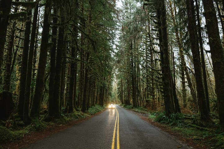 Twilight Forks Washington Tour - Image 4