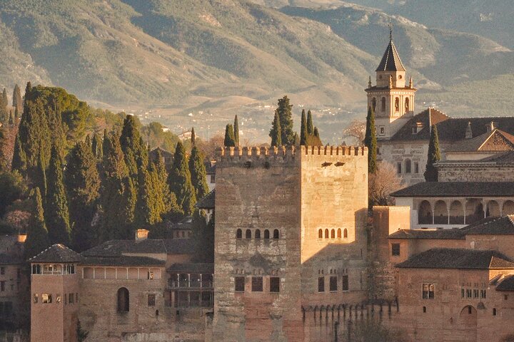 Alhambra Private Tour & Nazaries Palaces from Seville with Pickup - Image 5