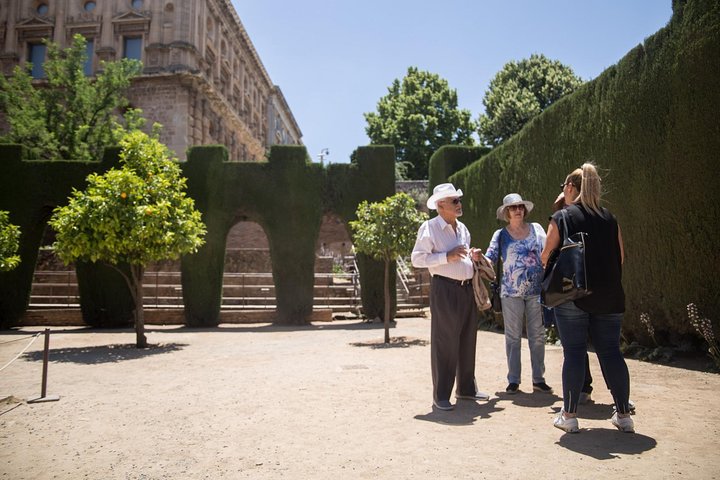Alhambra Private Tour & Nazaries Palaces from Seville with Pickup - Image 3