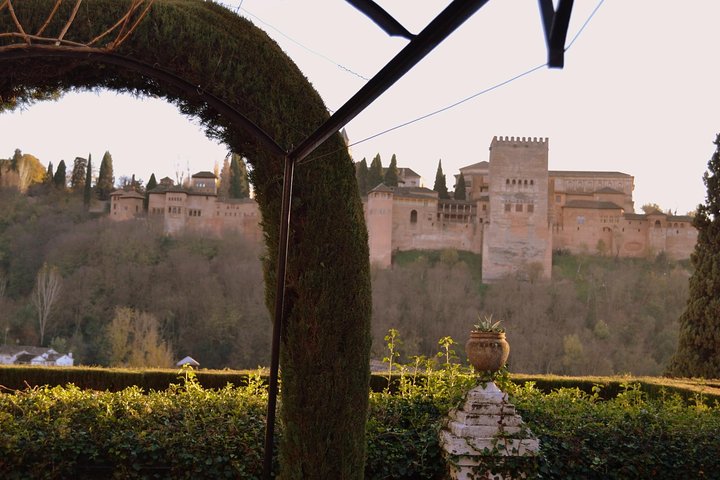 Alhambra Private Tour & Nazaries Palaces from Seville with Pickup - Image 4