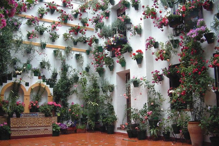 Cordoba Highlights: Guided Day Tour from Seville - Image 5