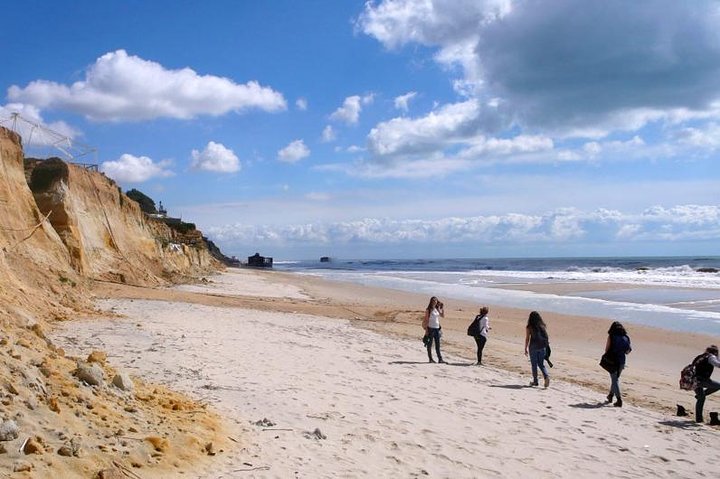 Excursion to the beaches of Huelva from Seville - Private tour - Image 4