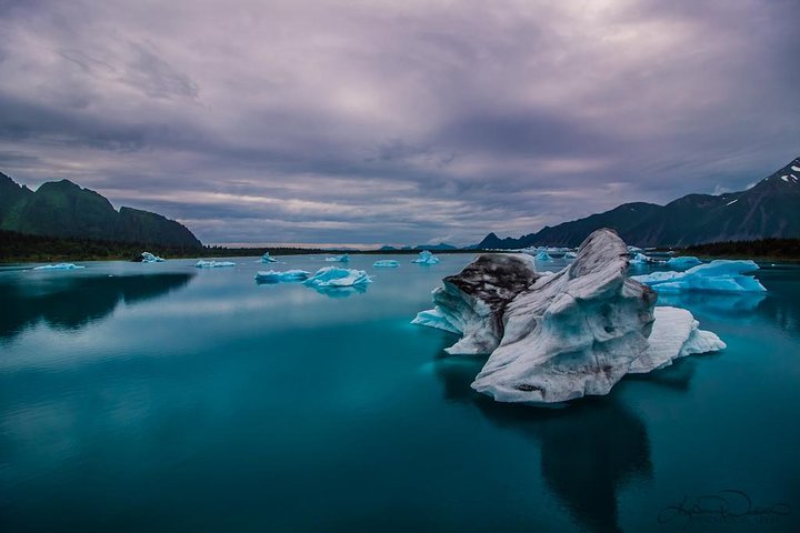 Bear Glacier Scenic Flight - Image 2