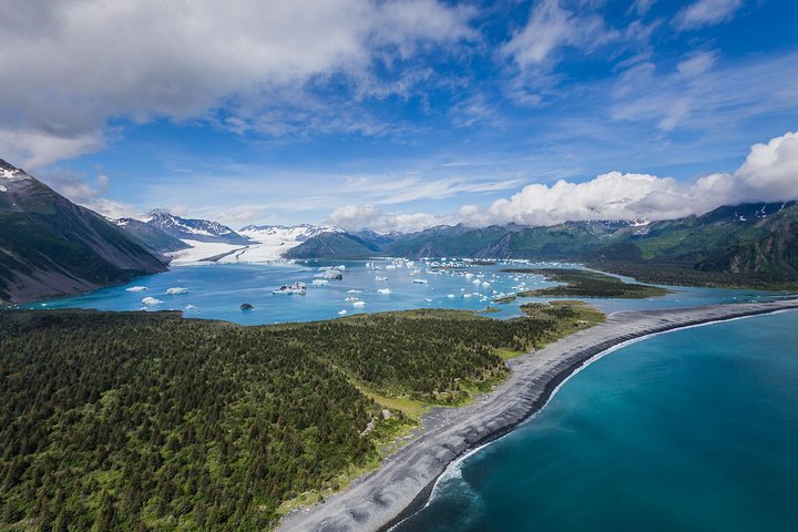 Bear Glacier Scenic Flight - Image 3