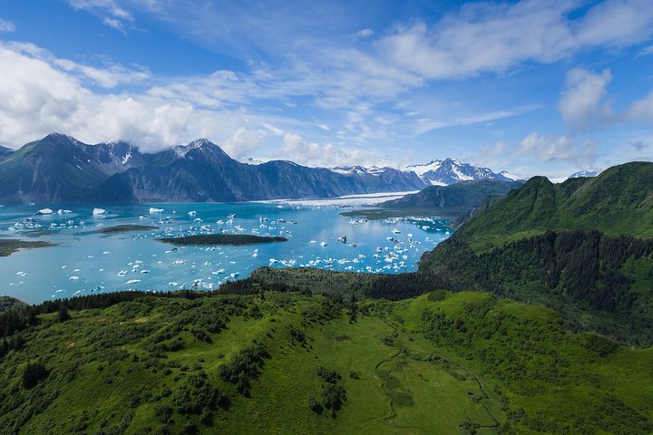 Bear Glacier Scenic Flight - Image 4