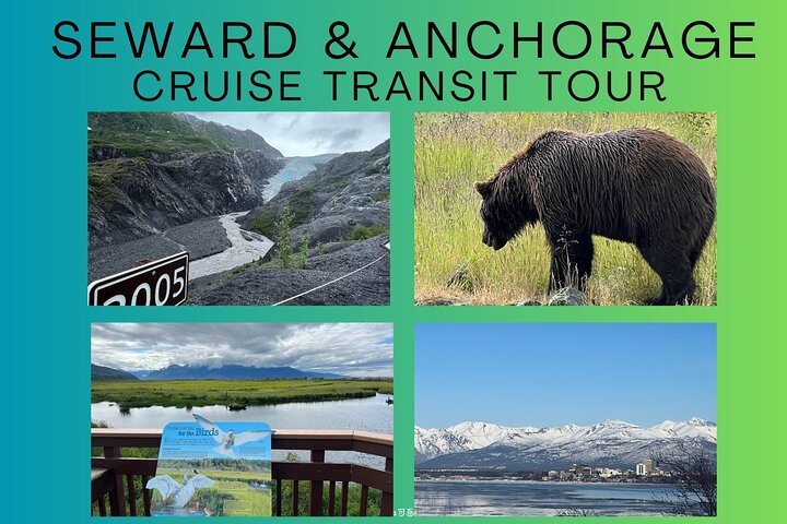 Full-Day Seward Cruise Transit Tour to Anchorage  - Image 1