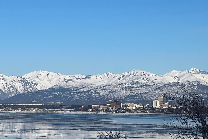 Full-Day Seward Cruise Transit Tour to Anchorage  - Image 5