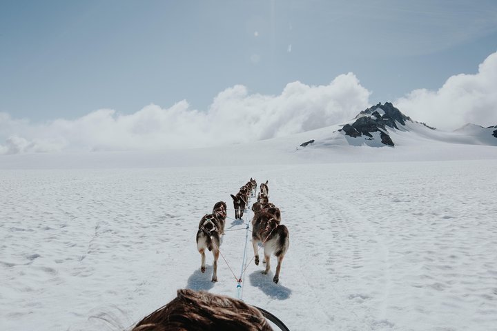 Helicopter and Glacier Dog Sledding Tour from Seward - Image 5