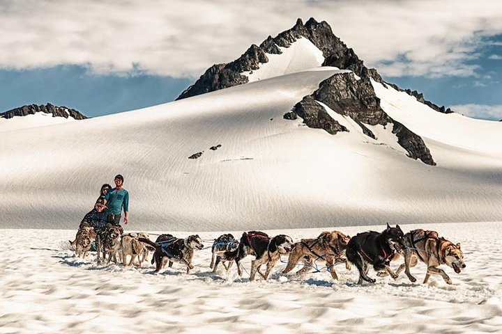 Helicopter and Glacier Dog Sledding Tour from Seward - Image 3