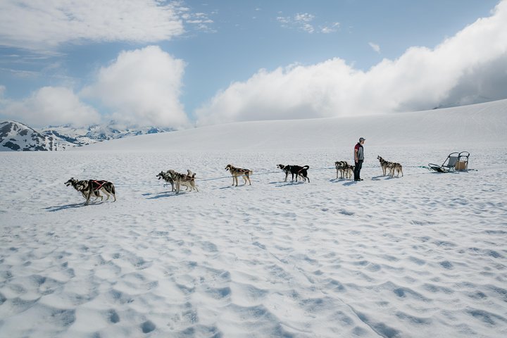Helicopter and Glacier Dog Sledding Tour from Seward - Image 4