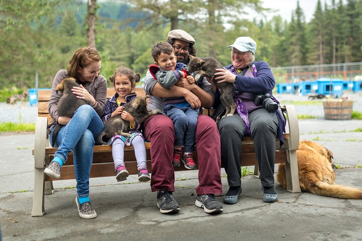 Kennel Tour and Dog Sled Ride - Image 2