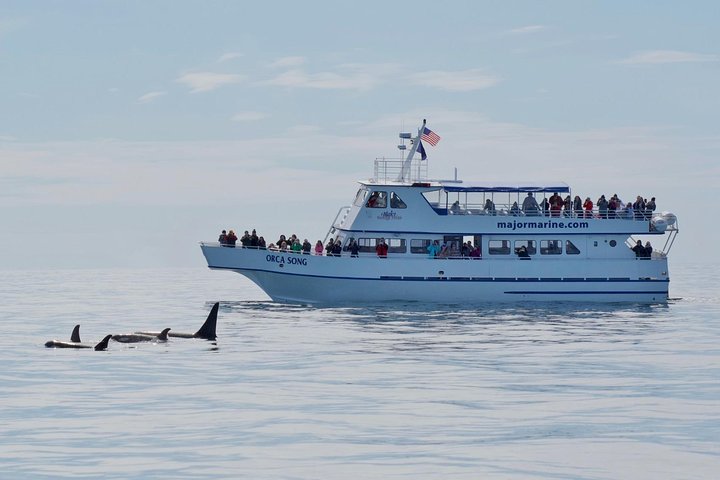 Orca Quest Cruise - Image 2