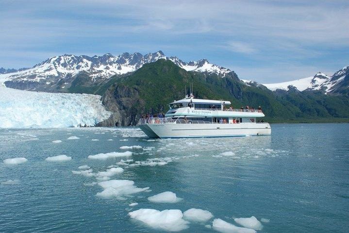 Seward Shore Excursion: Pre- or Post-Cruise Kenai Fjords National Park Tour - Image 1