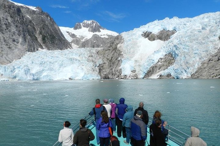 Seward Shore Excursion: Pre- or Post-Cruise Kenai Fjords National Park Tour - Image 3