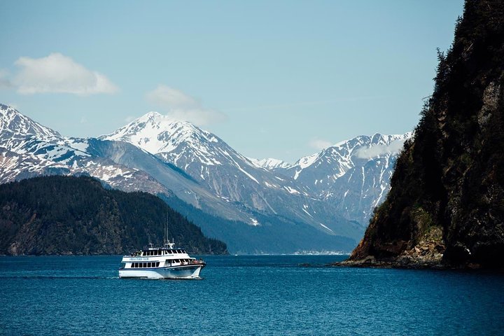 Seward Shore Excursion: Pre- or Post-Cruise Kenai Fjords National Park Tour - Image 4
