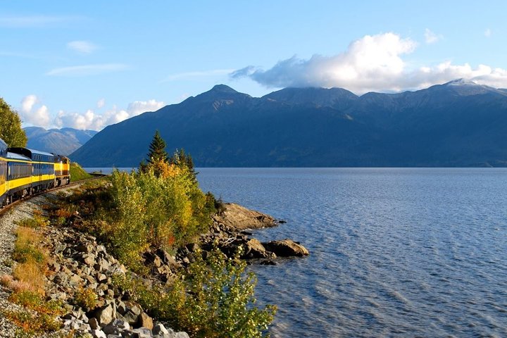 Seward to Anchorage Cruise Transfer and Private Tour - Image 3