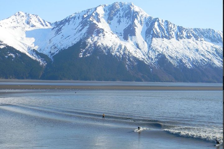 Seward to Anchorage Cruise Transfer and Private Tour - Image 2