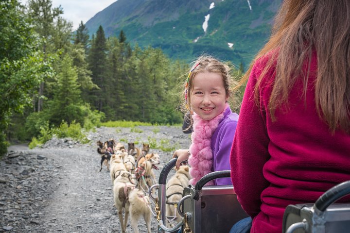 Wilderness Dog Sled Ride and Tour in Seward - Image 2