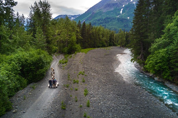 Wilderness Dog Sled Ride and Tour in Seward - Image 5