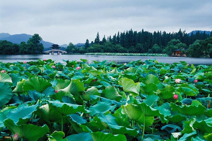 144 Hours Visa-free Shanghai Suzhou Hangzhou Tour from Airport - Image 1