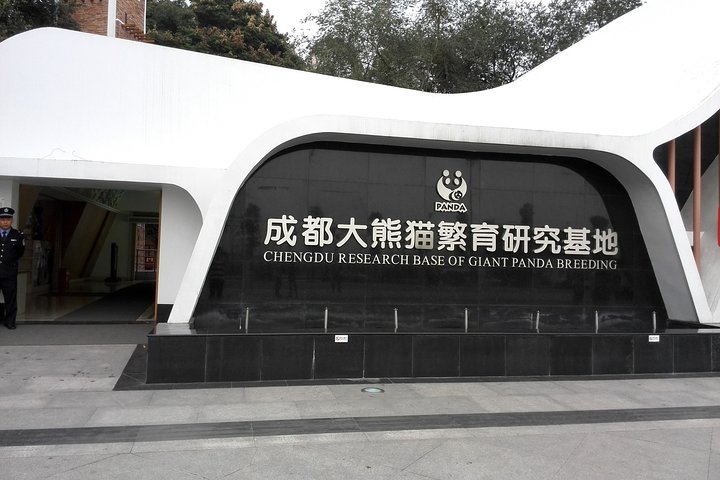 Chengdu Panda Base Day Trip from Shanghai by Air plus Martial Marquis Temple - Image 2