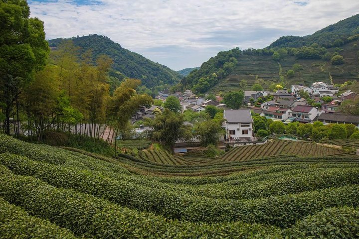 Private Customizable Tour: From Shanghai To Hangzhou With Chinese Lunch - Image 5