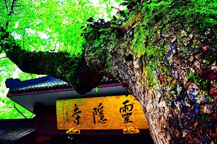 Private Customizable Tour: From Shanghai To Hangzhou With Chinese Lunch - Image 3