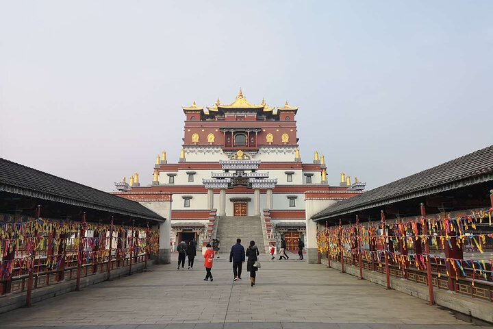 Private Day Trip to Wuxi Lingshan Grand Buddha and Taihu Lake from Shanghai - Image 5