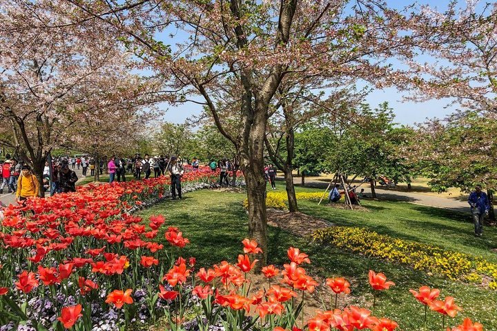 Private Full Day Tour: Shanghai Natural Sites and Beauty Tour - Image 4