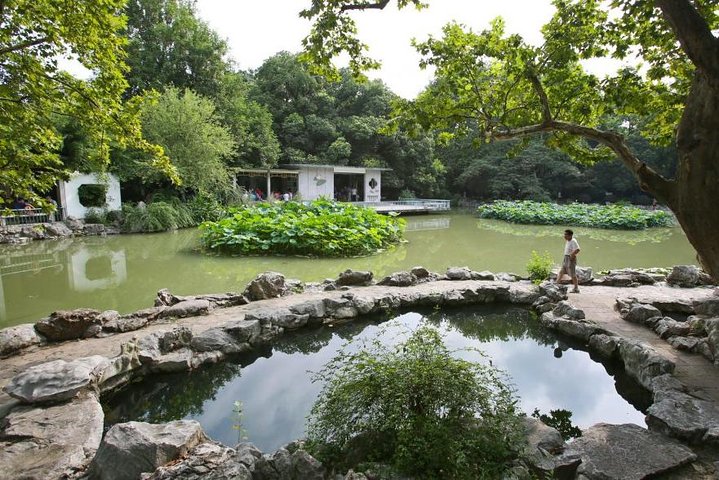 Private Full Day Tour: Shanghai Natural Sites and Beauty Tour - Image 3